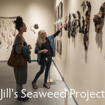 Jill Powers seaweed project