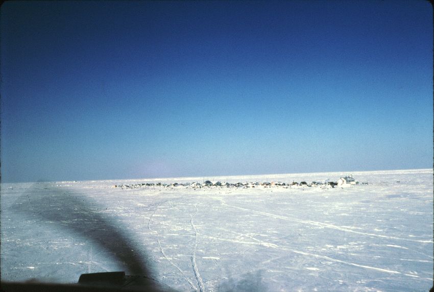 Shishmaref saved itself when the influenza (1918) struck all of Seward Peninsula by barricading the island and not letting anyone in or out of the village. That action stopped the deadly spread.