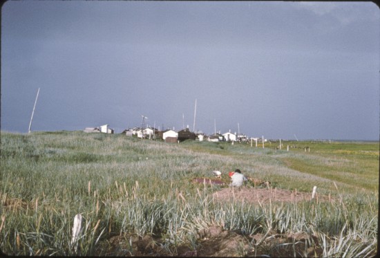 (6 & 7) Looking eastward from west end of town.  Note some poles just past Charlie Okpowruk's white and black colored home.  The poles now show where there is solid ground;  everything else in the foreground has been taken over by the Chukchi Sea.