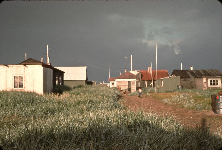 If you now stood where this picture was taken, youd be on top of the rip rap (sea wall). The main street, or trail, is still there but all the green vegetation has been replaced with sand.