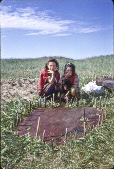 Sharon Olanna (now Nayokpuk) with friend behind a drying seal skin. Seal skins were made into clothing, mukluks, pants, hats, gloves, and still a "must have" for Shishmaref.