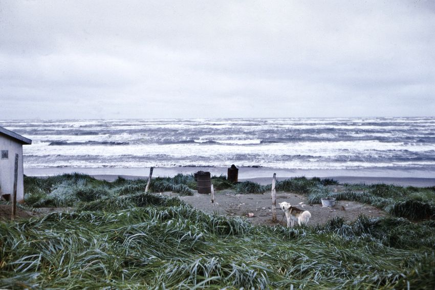 Shishmaref's north wind brewing. In 2009 it is still blowing but with higher gust and water levels and stronger north winds.